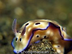 taken with canon g9 by Chong Hanwan 